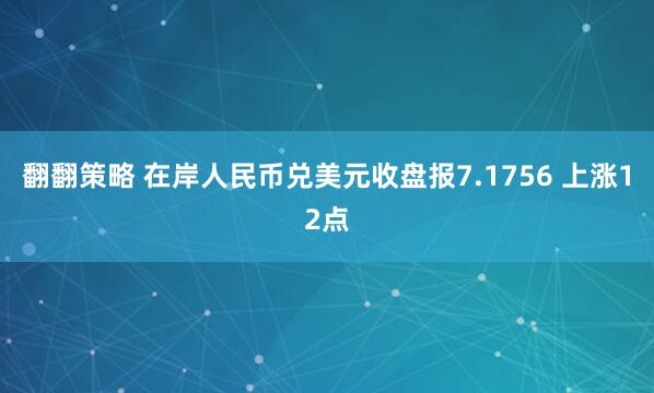 翻翻策略 在岸人民币兑美元收盘报7.1756 上涨12点