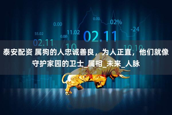 泰安配资 属狗的人忠诚善良,为人正直,他们就像守护家园的卫士_属相_未来_人脉